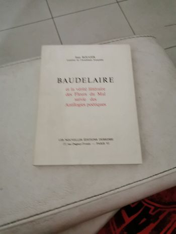 Baudelaire et la vérité littéraire des fleurs du mal suivie des antilogies poétiques