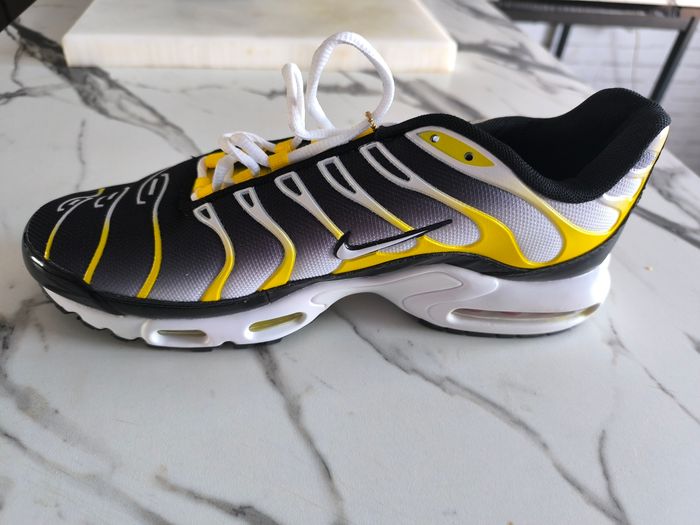 Nike TN taille 45