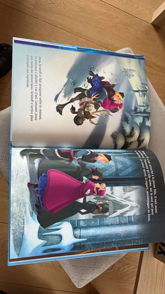 Livre reine des neiges - photo numéro 4