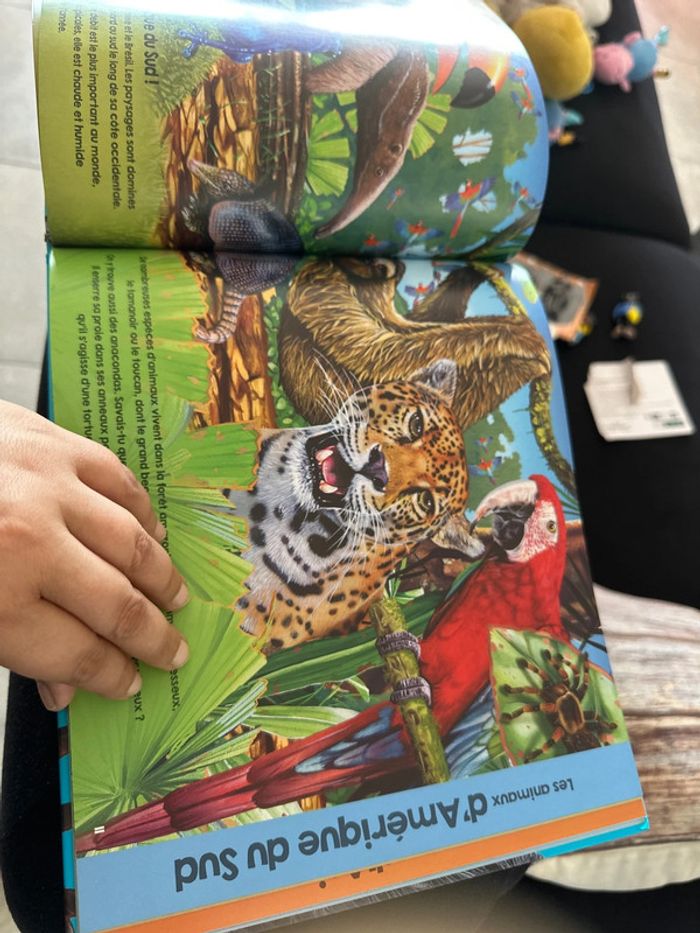 Livre les animaux du monde - photo numéro 4