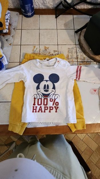 Lot mickey