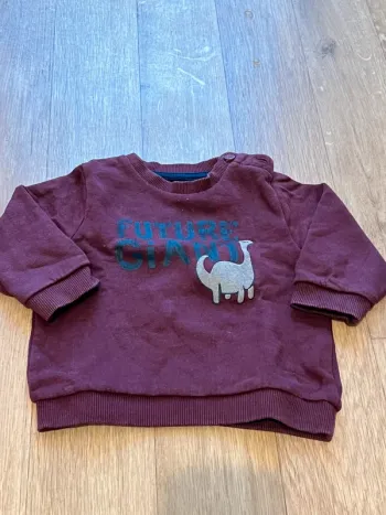 Sweat-shirt dino 12M