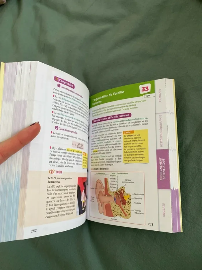Fiches bac l’intégrale tronc commun - photo numéro 3
