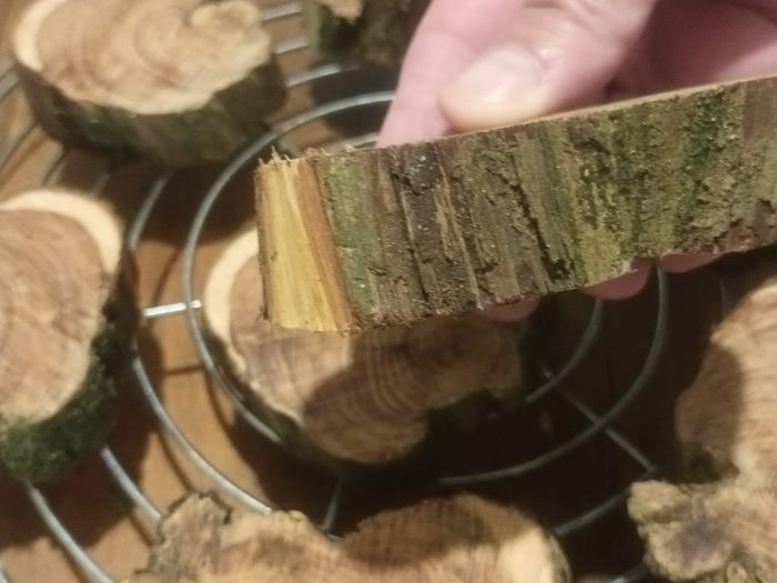 Lot de 6 anti mites naturel de bois de cade - photo numéro 2