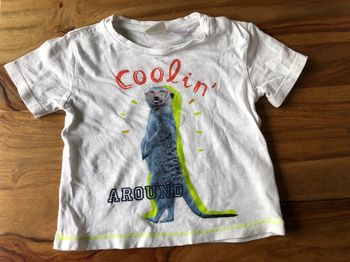 T shirt bébé garçon Zara BabyBoy 6/9 mois - 74 cm