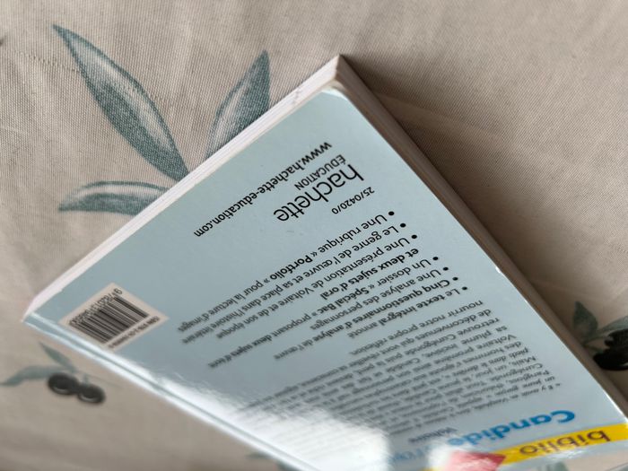 Candide ou l'optimisme - photo numéro 4