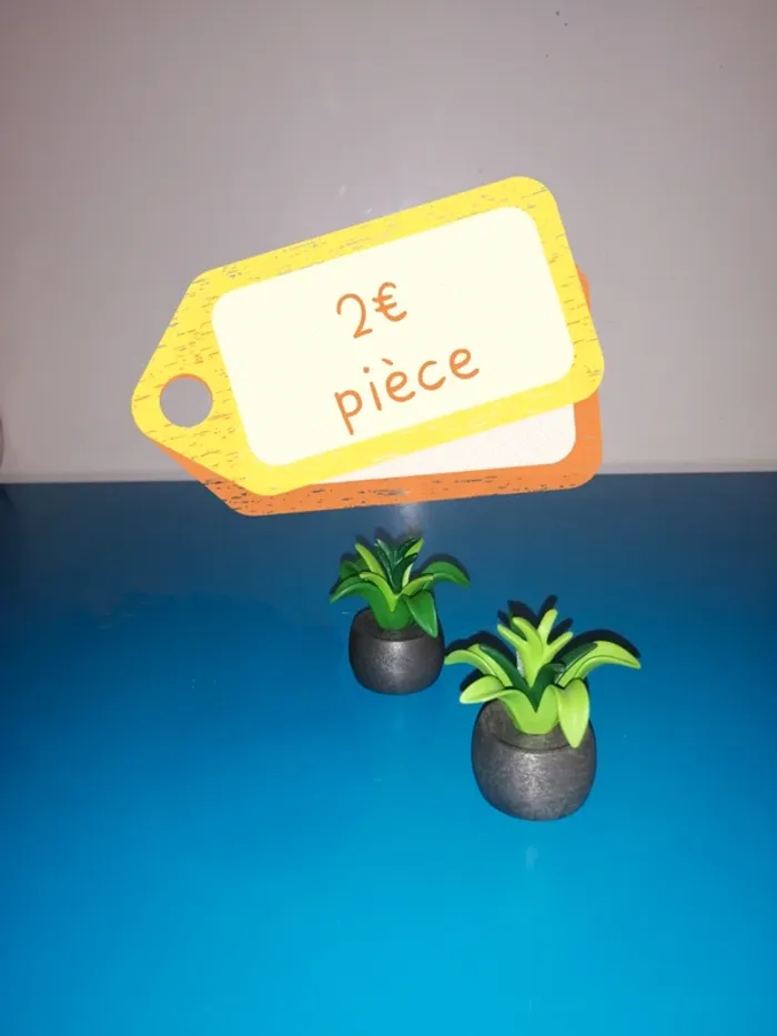 Thème* végétation / Pot & plantes - photo numéro 3