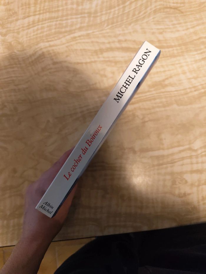 Le cocher du Boiroux - photo numéro 3