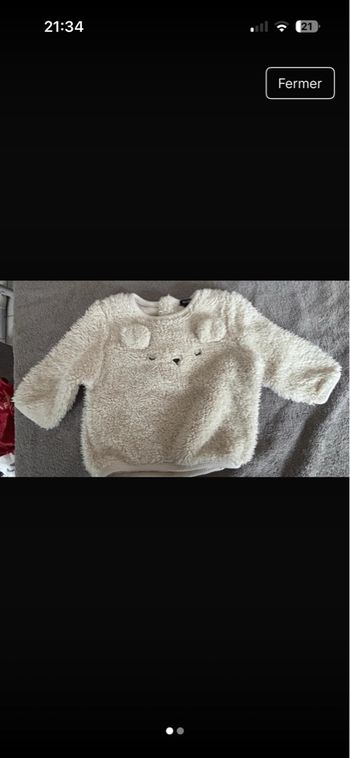 Pull oreilles d’ours 