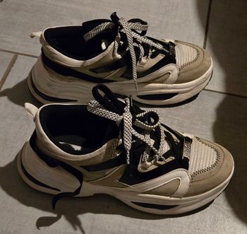 Baskets Steve Madden femme 