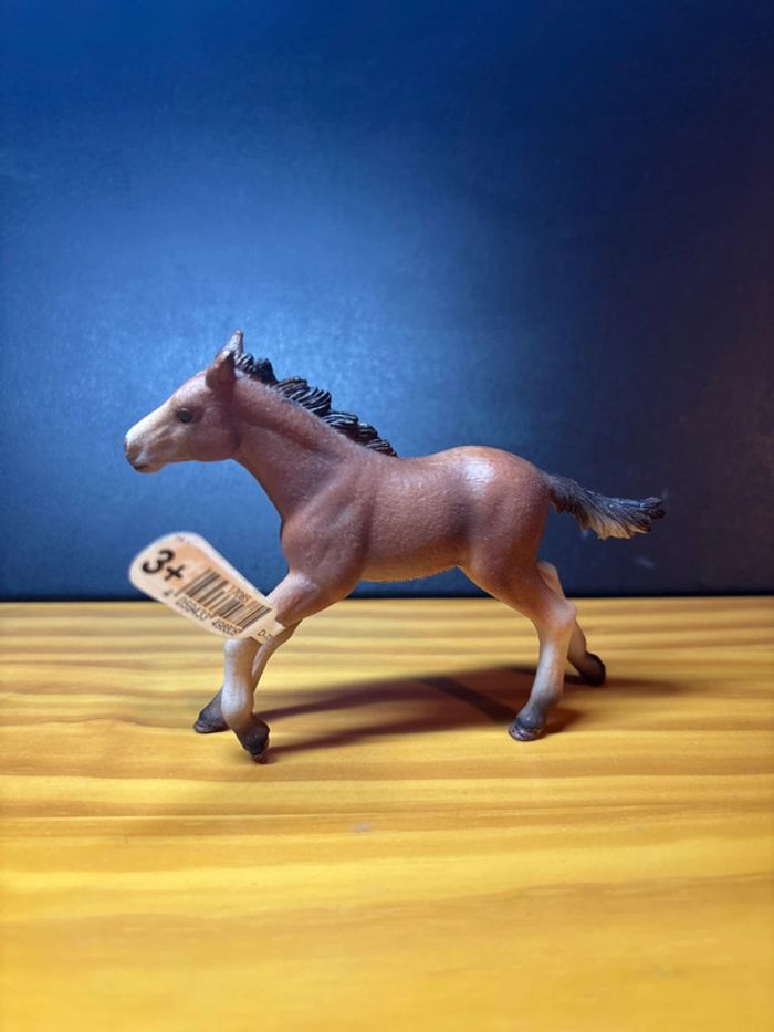 Poulain Mustang - photo numéro 2