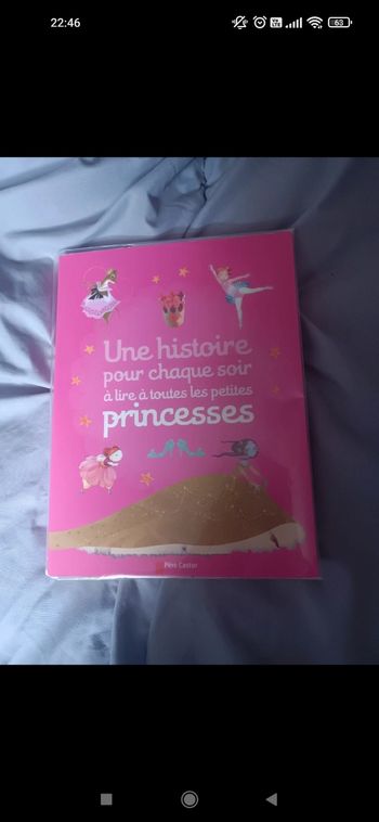 Livre de princesse