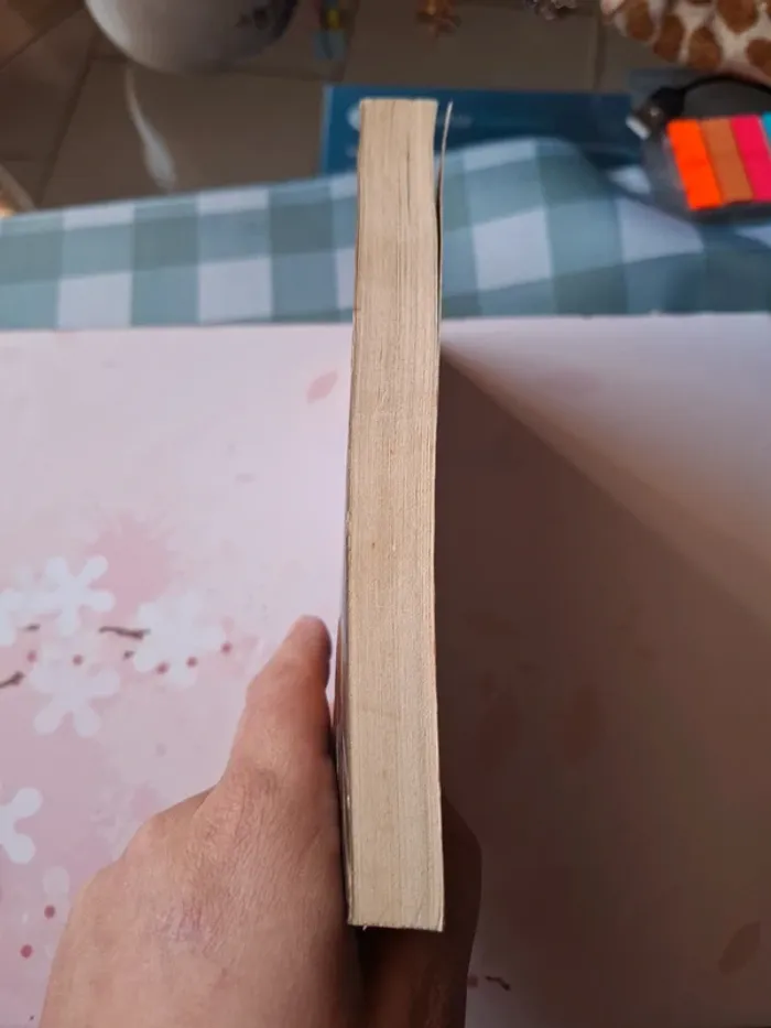 Moi le seul évadé de buchenwald - photo numéro 4