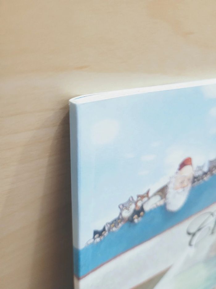 🌺 Livre (école des loisirs) : Le chapitaine - photo numéro 8