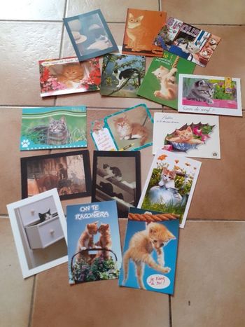 Lot de cartes postales "chat"