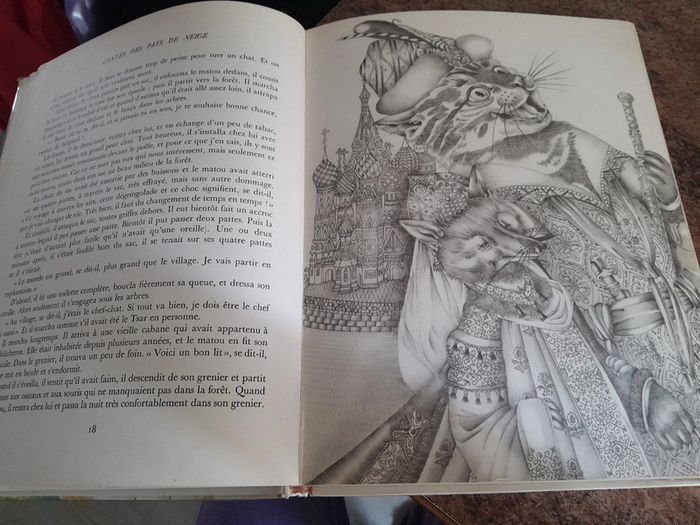 Sublime grand livre de contes flammarion 1955 - photo numéro 5