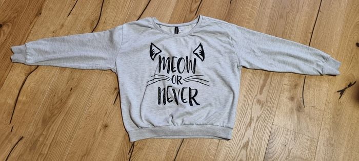 Sweat meow or never