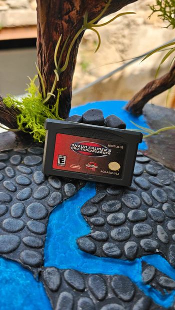 Super jeu Nintendo gameboy advance shaun palmer's pro snowboarder