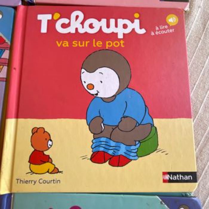 Lot de T’choupi - photo numéro 5