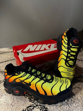 Nike air Max plus - TN 