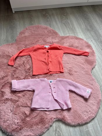 2 gilets bébé fille 6 mois