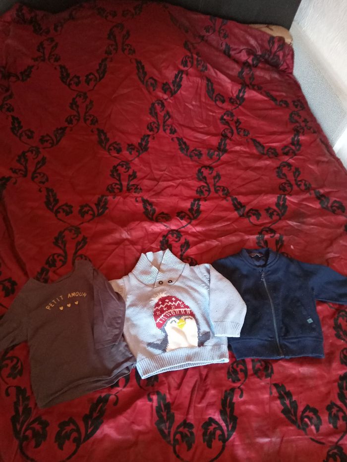 Lot pulls et veste 12 mois