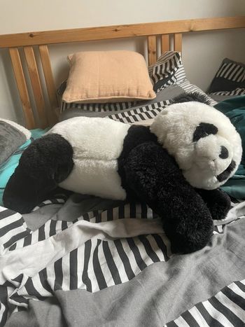 Panda doudou