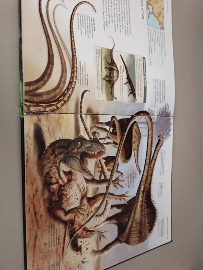Les dinosaures à la loupe édition France loisirs - photo numéro 13