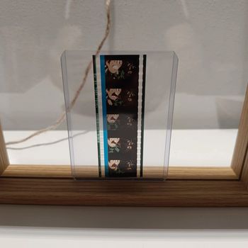 Pellicule démon slayer tanjiro et inosuke