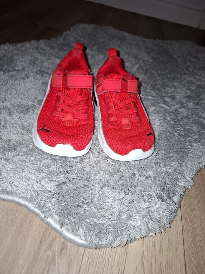 Puma taille 24