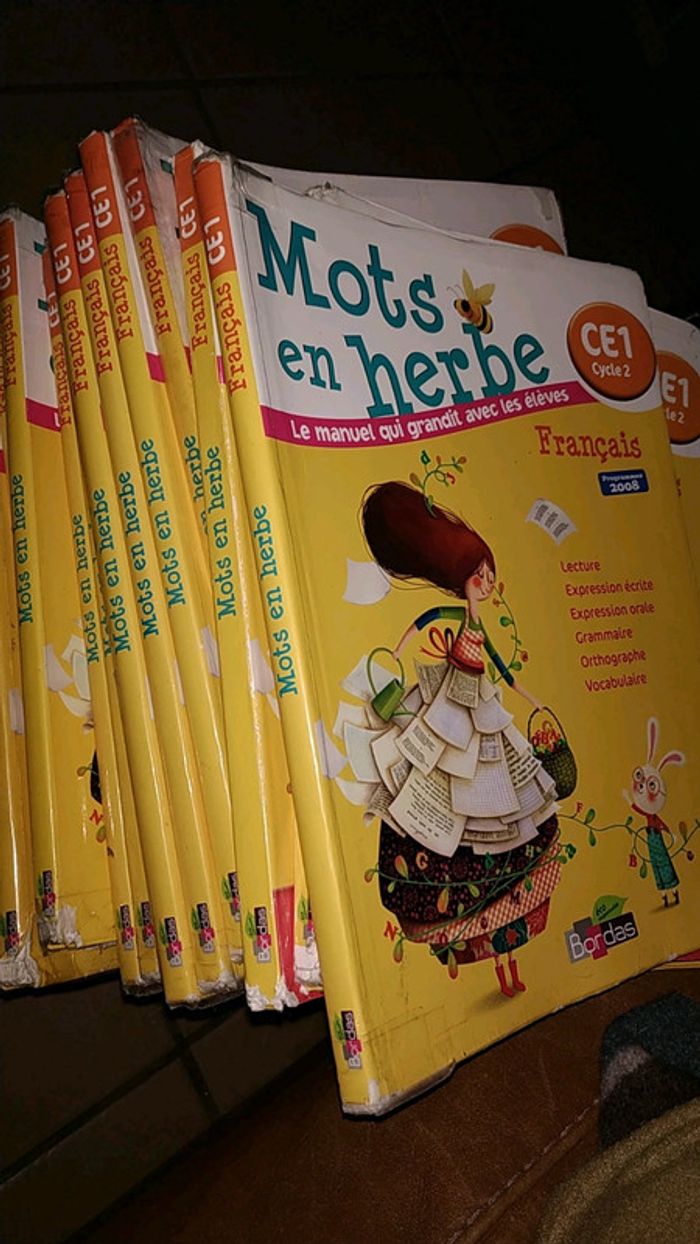 Mots en herbe ce1 à l'unité ou en lot