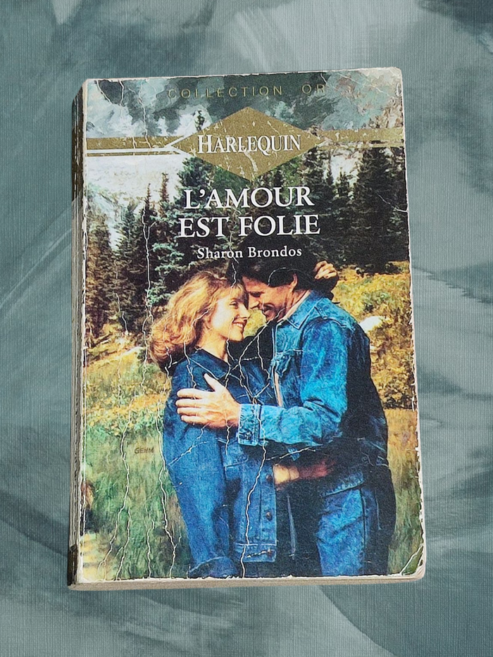 Livre : HARLEQUIN - 2 livres ( collection Or ) - photo numéro 2