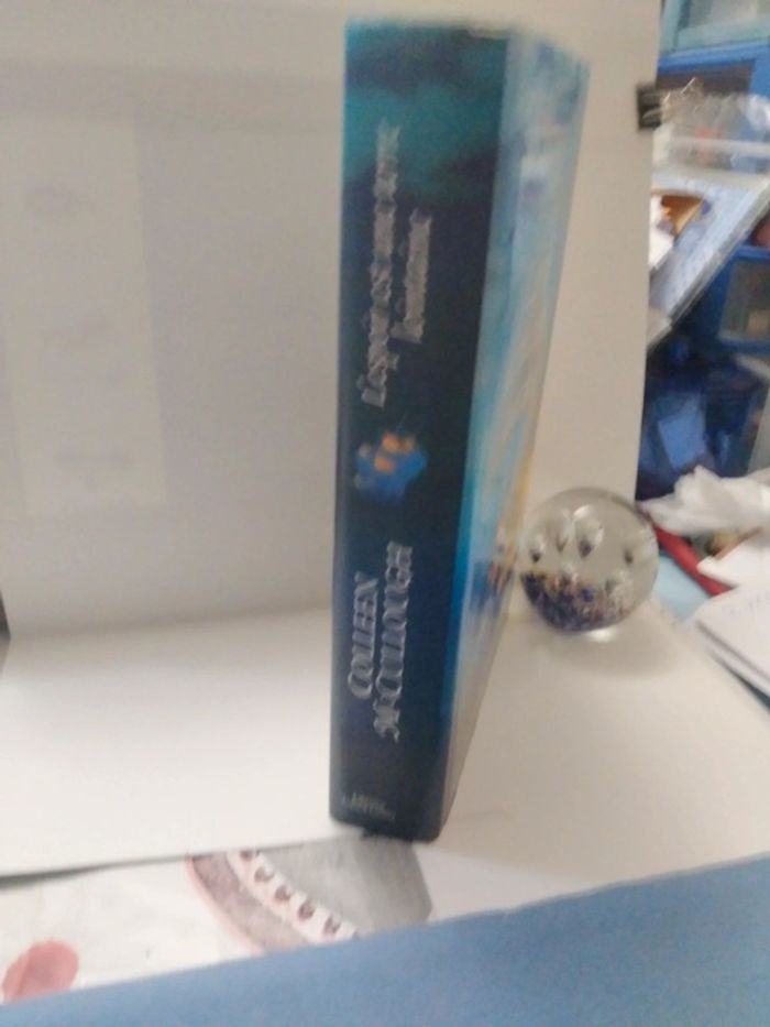 L'espoir est une terre lointaine - photo numéro 2