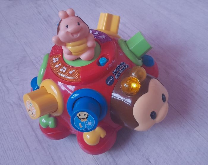 Coccinelle des formes - photo numéro 2