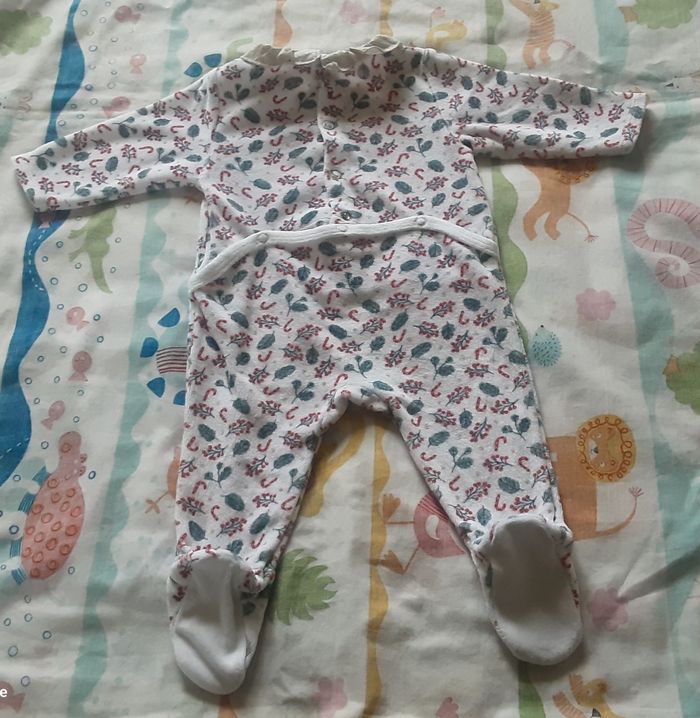 Grenouillère  Noël - photo numéro 3