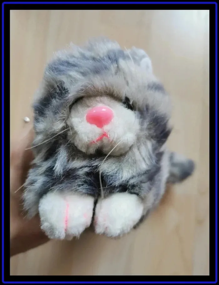 Peluche chat