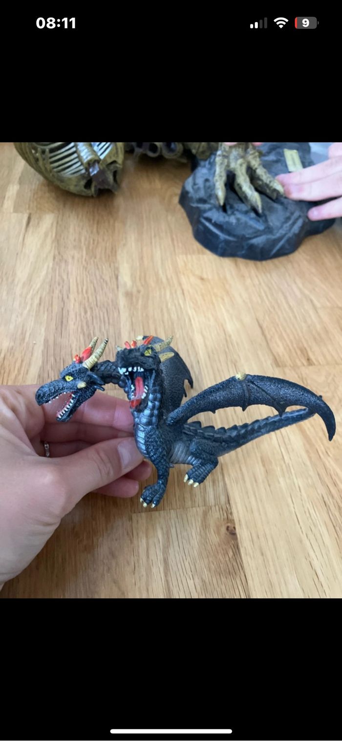 Dragon - photo numéro 2