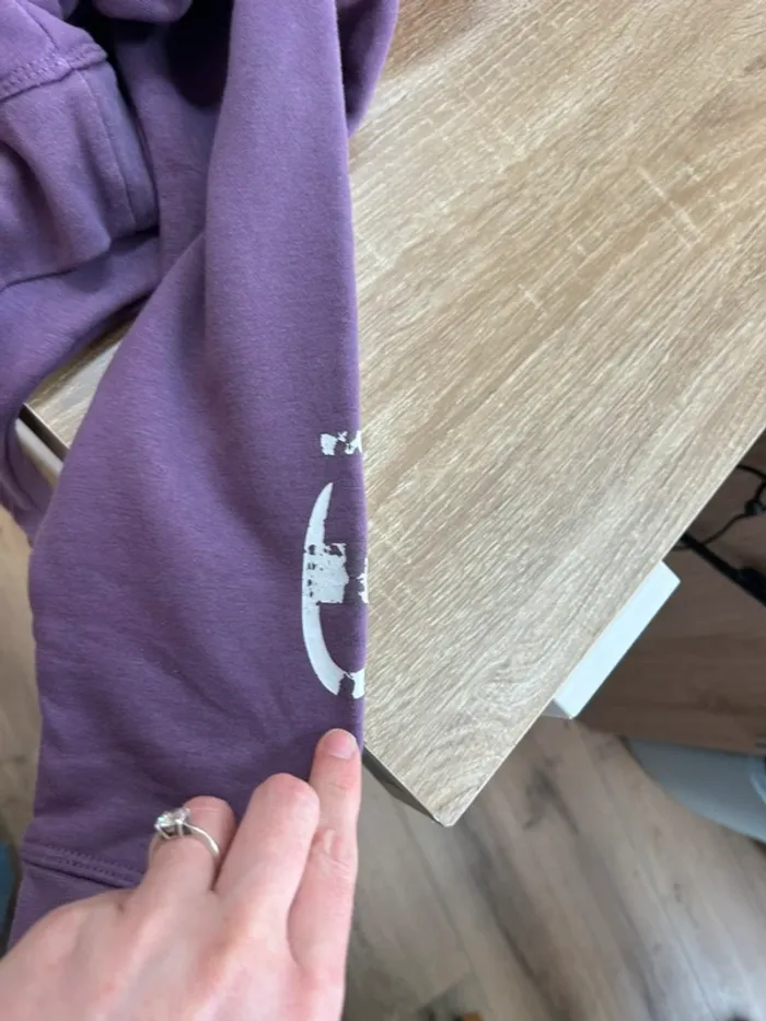 Pull homme champion sweat homme sweat à capuche violet homme taille L - photo numéro 13
