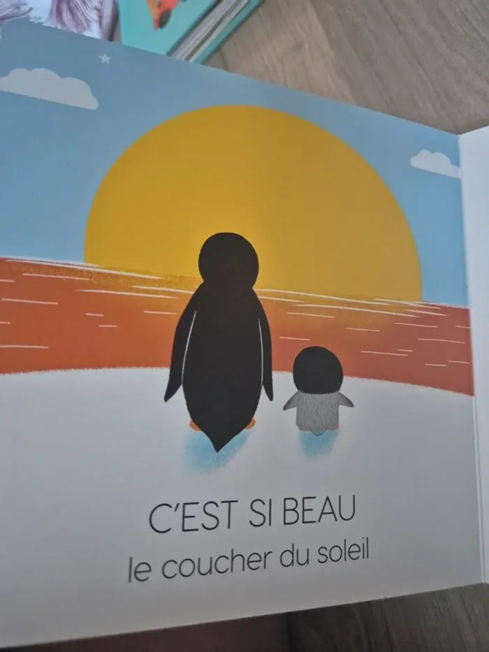 Livre C'est si beau - photo numéro 4