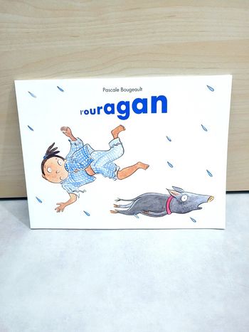 🌺 Livre (école des loisirs) : L'ouragan