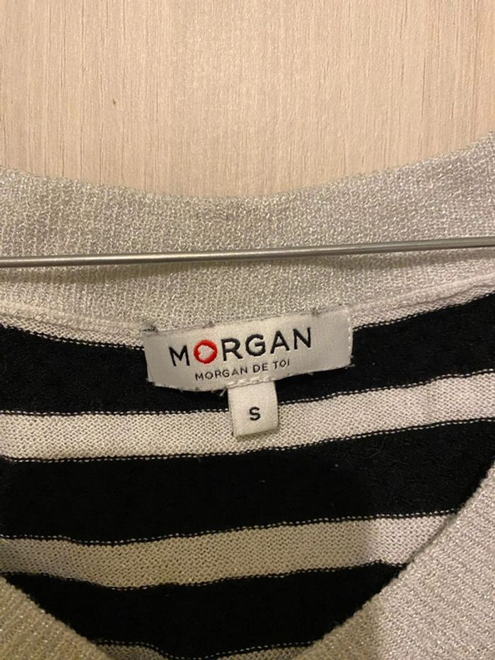 Pull morgan - photo numéro 2