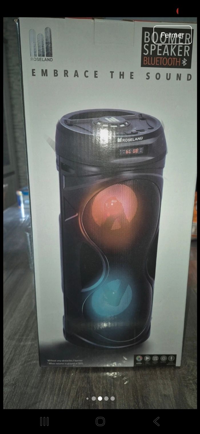 Enceinte - photo numéro 8