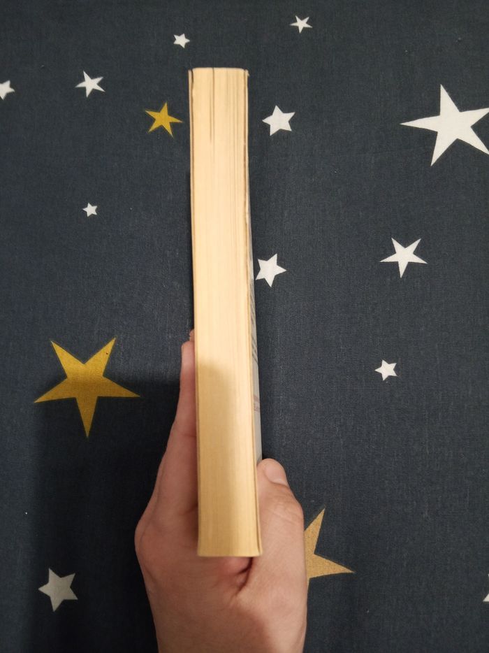 Livre (114) 📚 Au nom du cœur - photo numéro 4