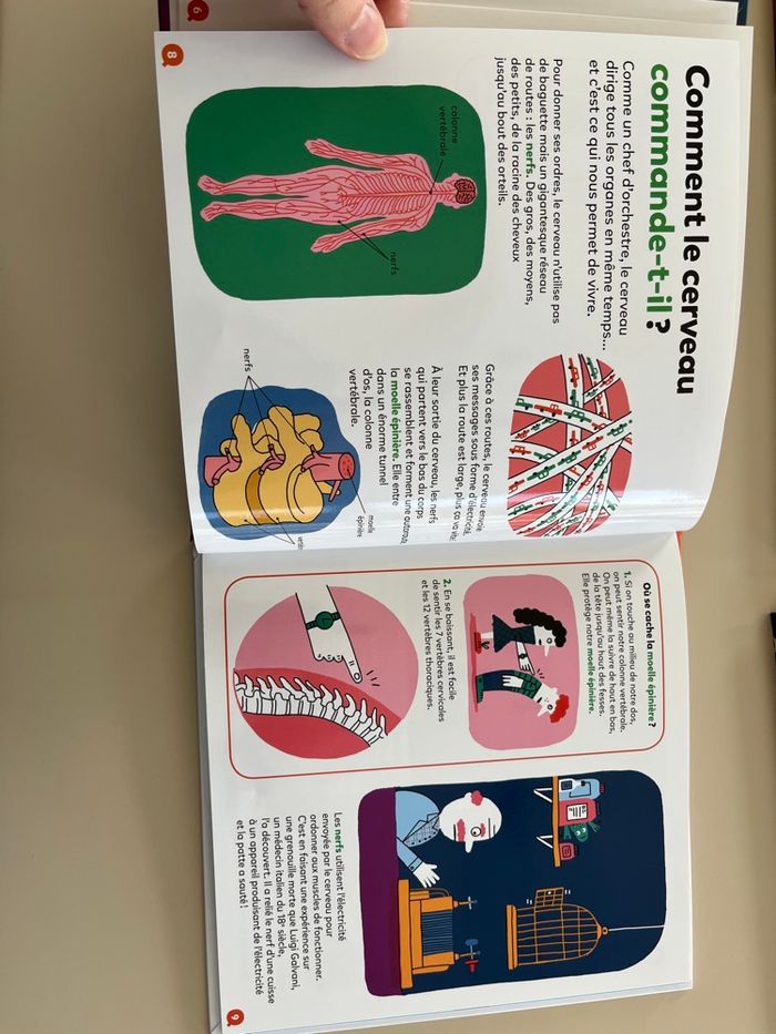 Livres “mes p’tites Questions” - photo numéro 4