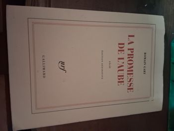 Livre roman 