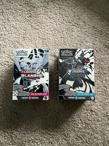 2 bundle Pokémon ev10 FR