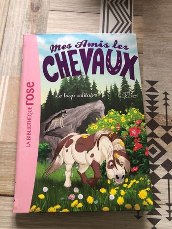 Mes amis les chevaux tome 8