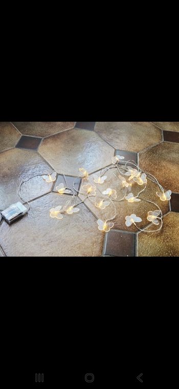 Guirlande lumineuse à piles de 3 mètres "papillon"