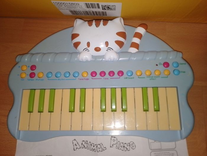 Piano musical chat
Animal - photo numéro 4