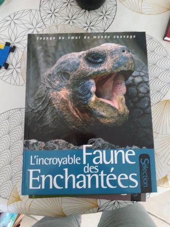 L incroyable faune des enchantées